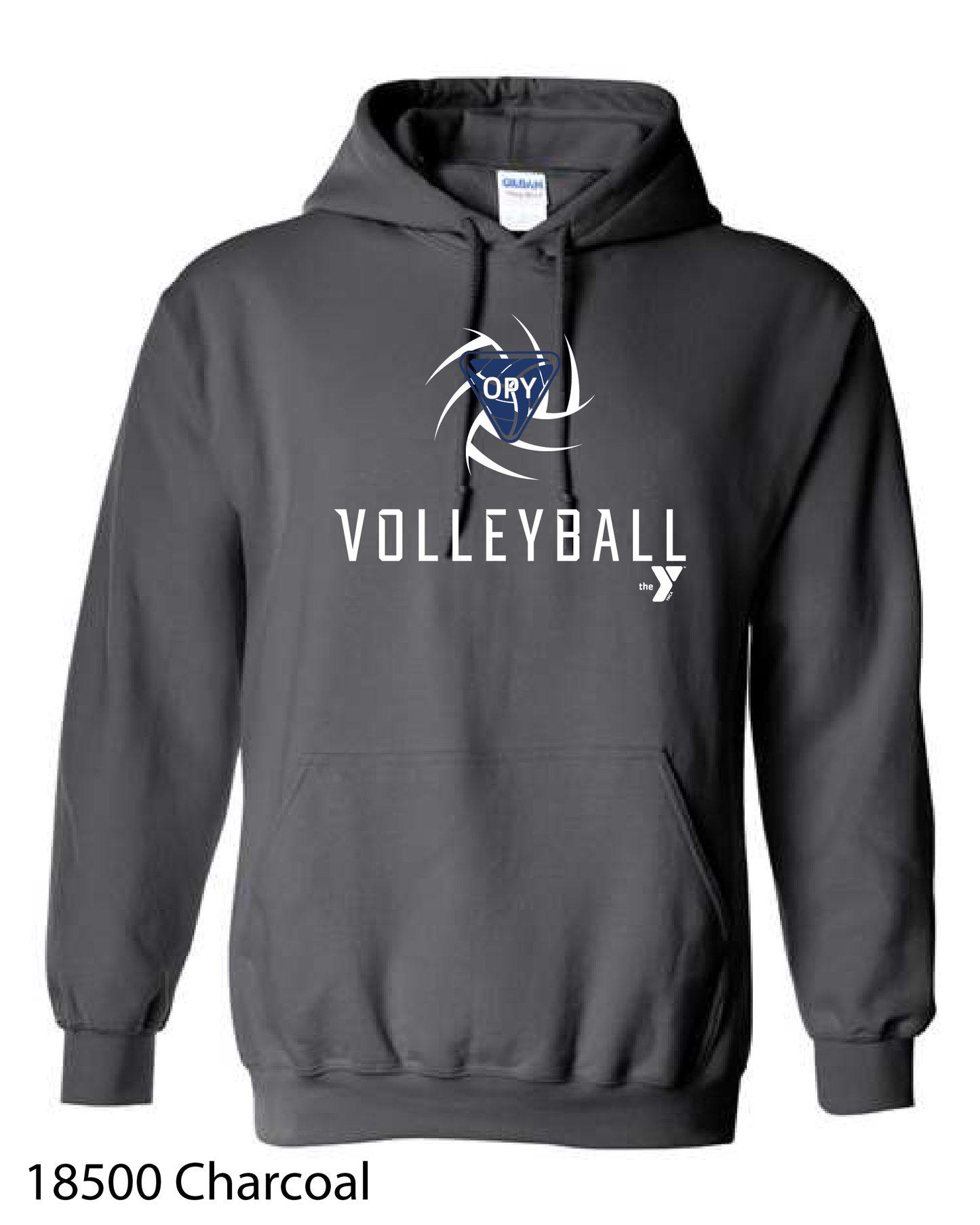 YOUTH Gildan Hooded Sweatshirt: Design 2