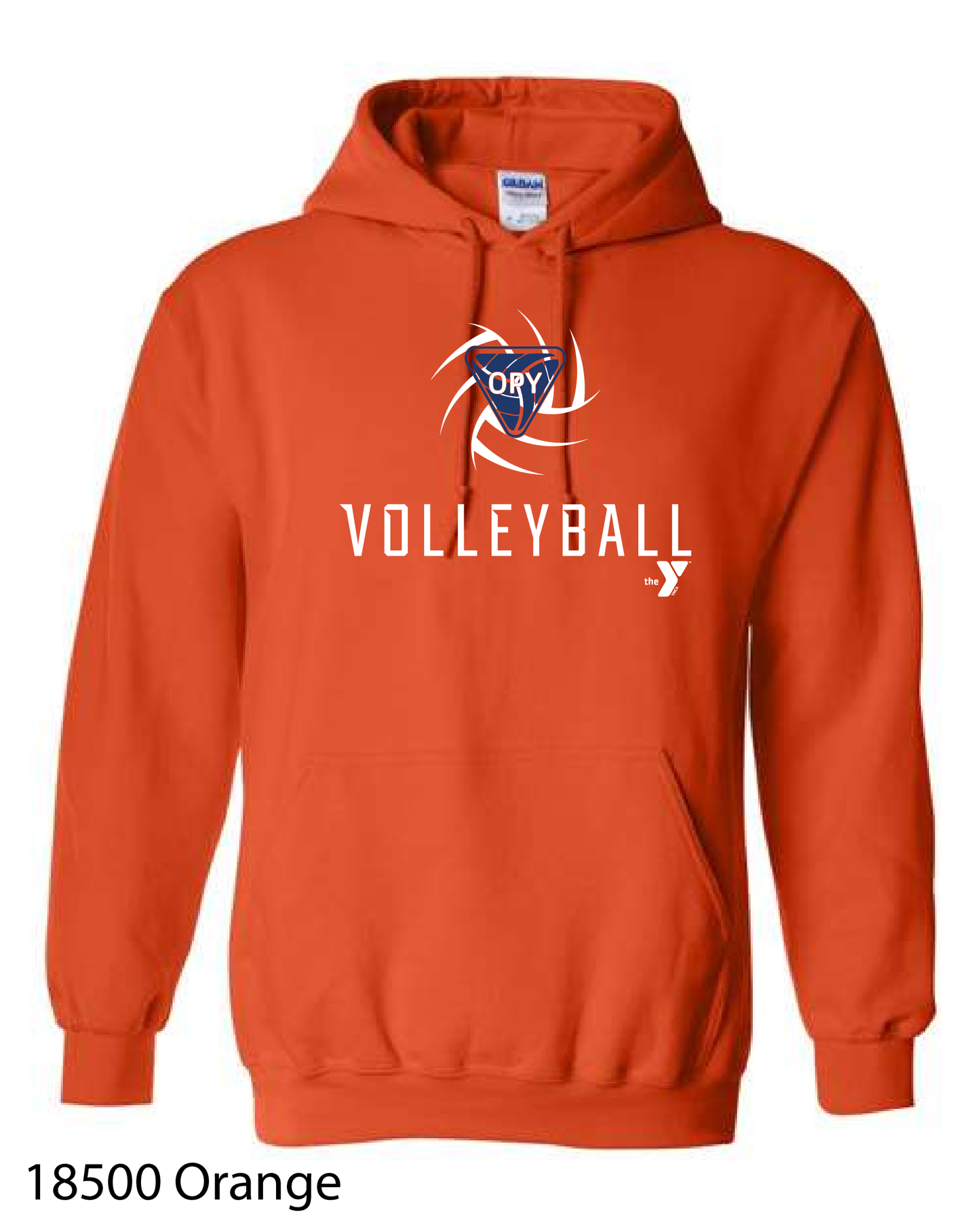 YOUTH Gildan Hooded Sweatshirt: Design 2