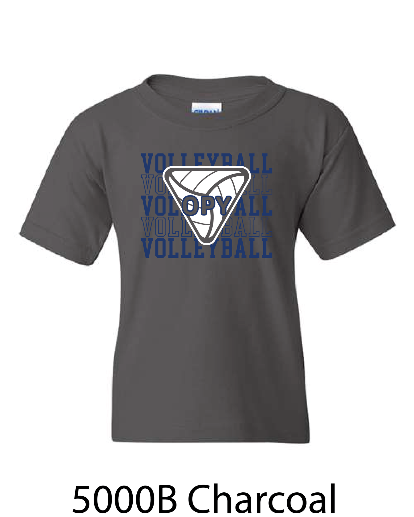 YOUTH Gildan Heavy Cotton T-Shirt: Volleyball Repeating