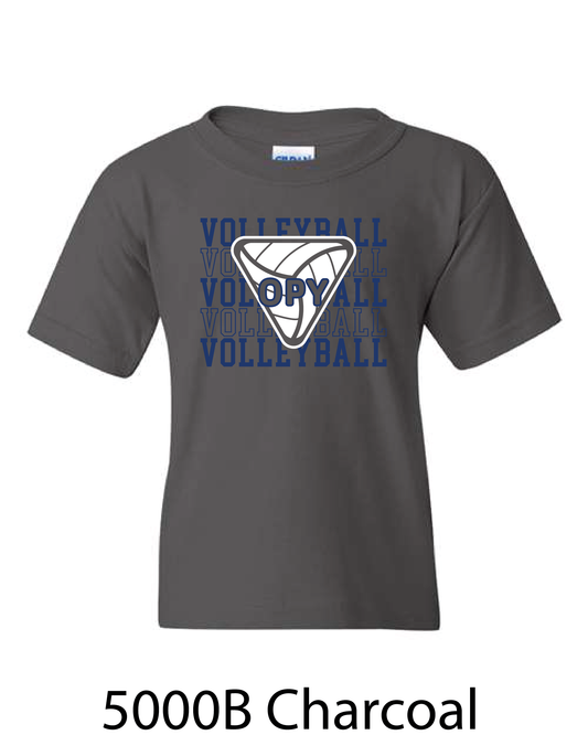 YOUTH Gildan Heavy Cotton T-Shirt: Volleyball Repeating